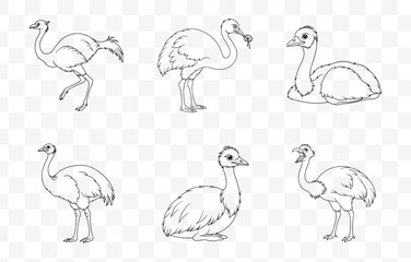 Print Collection of Detailed Emu Line Art Vector Illustrations for Designers and Artists