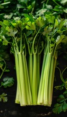 Obraz premium A highresolution photo of freshly harvested celery stalks