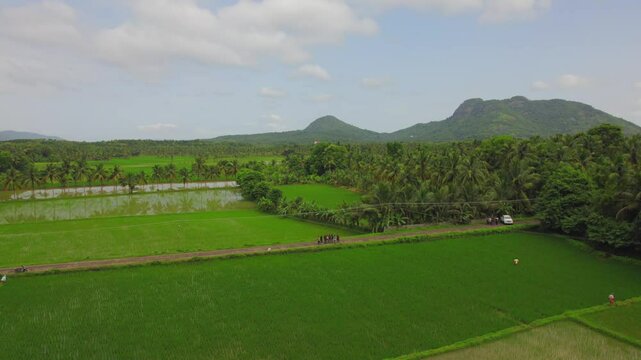 Kollengode,Palakkad- A Border village in Palakkad District Famous for its beautiful vast strech of paddy fields and waterfalls