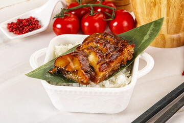 Grilled eel with steamed rice