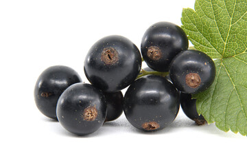 Fresh black currants with green leaves isolated on a white background