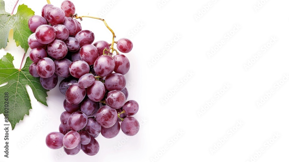 Poster isolated grape stem on white background with space for text