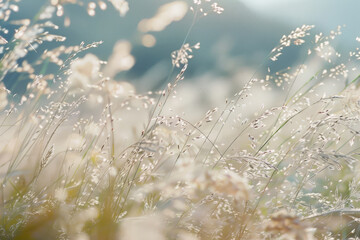 Eyelashes swaying in the breeze mesmerizing in field