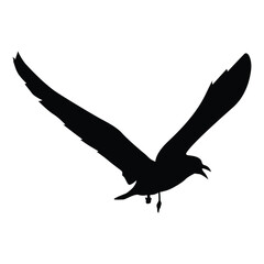Obraz premium Flying Bird Silhouette Icon vector
