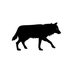 Wolf walking silhouette on white background 