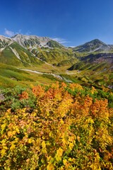Fototapeta premium 紅葉の立山連峰 ハイキング