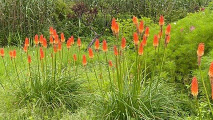 It feels like Autumn is coming