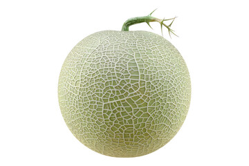 Melon isolated on transparent background
