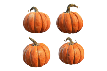 Pumpkin set isolated on transparent background