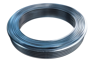 Serpentien belt isolated on transparent background