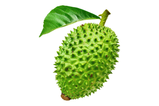 Soursoap isolated on transparent background