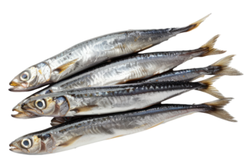 Anchovies isolated on transparent background