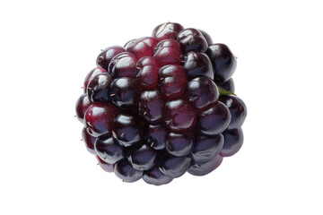 Juicy Blackberry Berries Isolated On Transparent Background