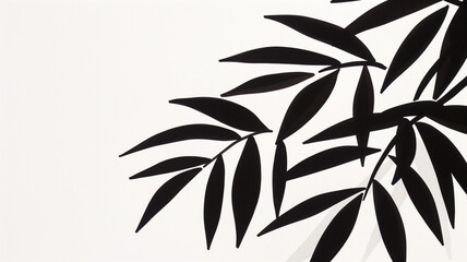 Fototapeta premium Minimalist Black Leaf Silhouette on White Background - Horizontal Art 