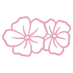 Fototapeta premium Pink Flowers