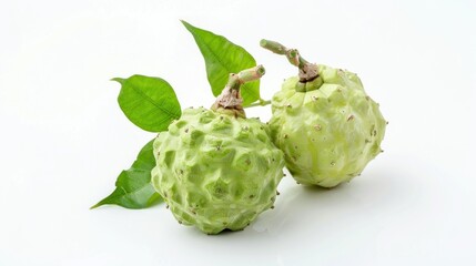 Obraz premium Dracontomelon fruit on white background , 