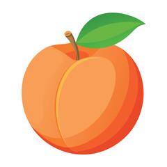 illustration of an fresh peach Isolated
