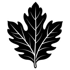 Leaf icon silhouette vector art illustration