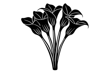 A bunch of calla Lilly's fashion illustration style vector art illustration