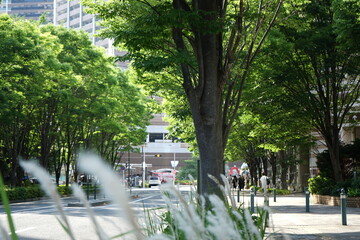 武蔵小杉駅前6月