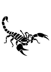 Scorpion | Predator Animal | Sting | Venomous | Exotic Animal | Wild Animal | Dessert Animal | Deadly Venom | Original Illustration | Vector and Clipart | Cutfile and Stencil