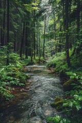 Serene Forest Stream