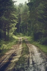 Fototapeta premium A photo of a dirt road surrounded by trees in a forest