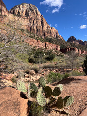 grand canyon national park