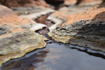 Petrified forms in Hierve el Agua Hot Springs, in Oaxaca