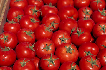 A bunch of red tomatoes are piled up in a box