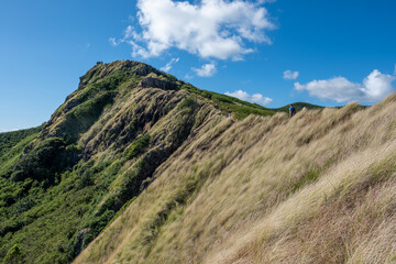 Female Hiker on Lanikai Pillbox hike, Kailua, HI, March 16, 2019