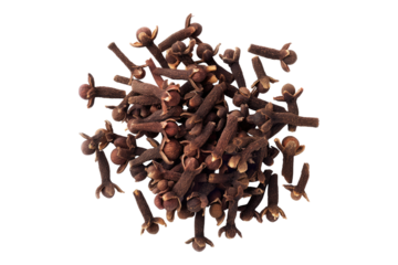 Cloves isolated on transparent background