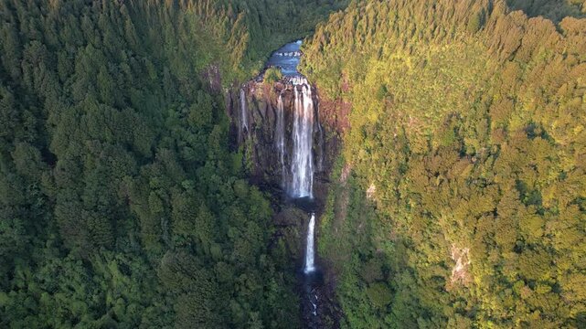 Highest Waterfall Of Wairere Falls In Okauia, North Island, New Zealand. Aerial Drone Shot