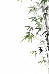 Fototapeta premium A close-up shot of a bamboo plant on a white background, ideal for use in interior design or botanical illustrations