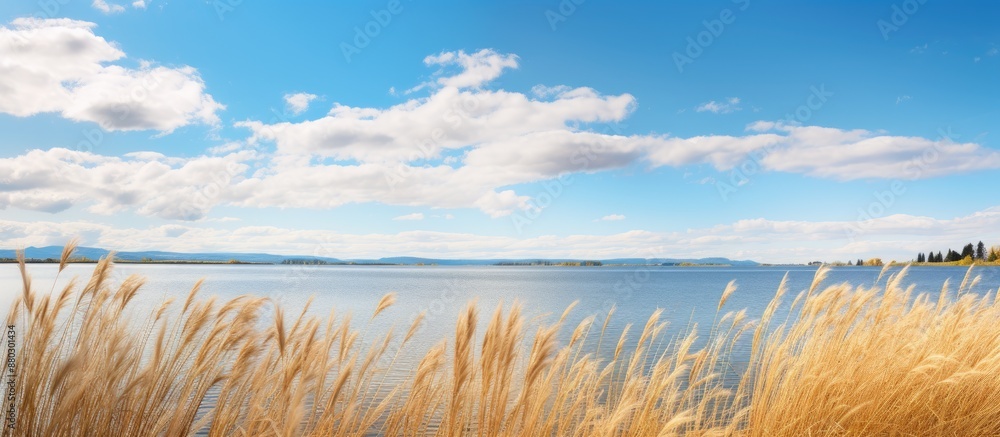 Aufkleber high quality photo displaying dry yellow reeds and scenic lakes under a cloudy blue sky with a copy 