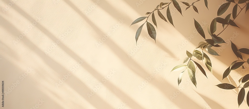 Poster Copy space image of abstract natural leaf shadows on a beige wall texture background, perfect for a floral card.