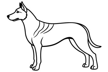 A Japanese dog vector line art illustration design
