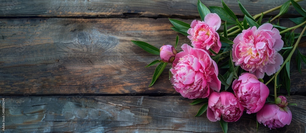 Poster peonies in pink bloom on a rustic wooden table, ideal for a copy space image.