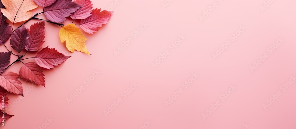 Aufkleber colorful fall foliage set against a pink backdrop with a vacant copy space image adjacent to it.