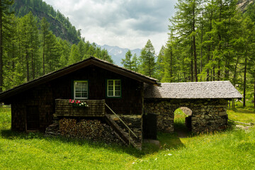 a trip through the Hohe Tauern National Park