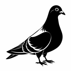 illustration of a bird