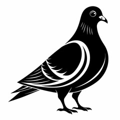 illustration of a pigeon black and white vactor