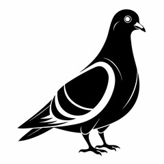 Fototapeta premium illustration of a pigeon black and white vactor