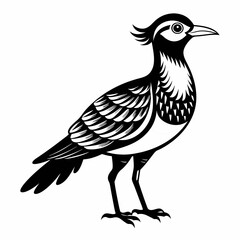 Fototapeta premium Stylized Black and White Bird Illustration 