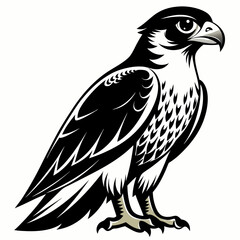 Fototapeta premium eagle isolated on white background
