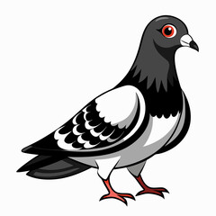 illustration of a pigeon black and white vactor
