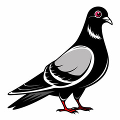 illustration of a pigeon black and white vactor