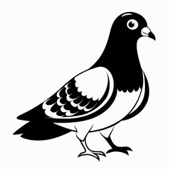 illustration of a pigeon black and white vactor