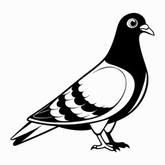 illustration of a pigeon black and white vactor