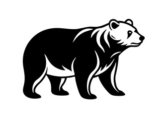 illustration of a bear